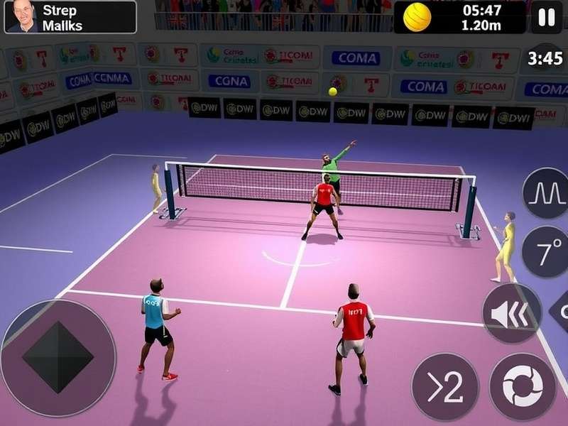 Volley Masters Chennai Gameplay Screenshot